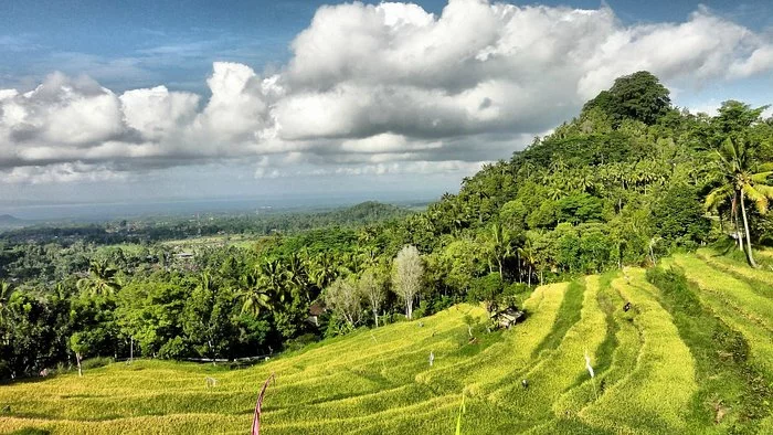 Pemandangan pendukung 1-2