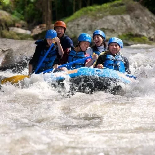 Pemandangan indah di Sungai Ayung